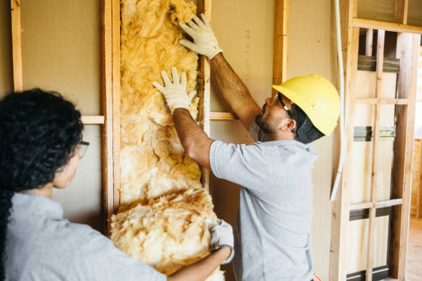 Best Wall Insulation Installation  in North Star, DE